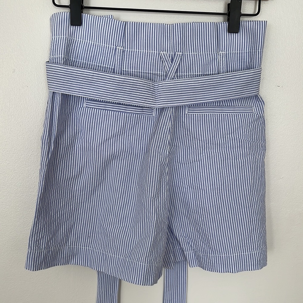 Blue and White Pinstriped High Waisted J. Crew Shorts - Picture 3 of 3